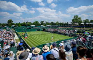 wimbledon desistências