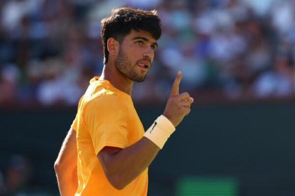 alcaraz comenta atuação de fonseca